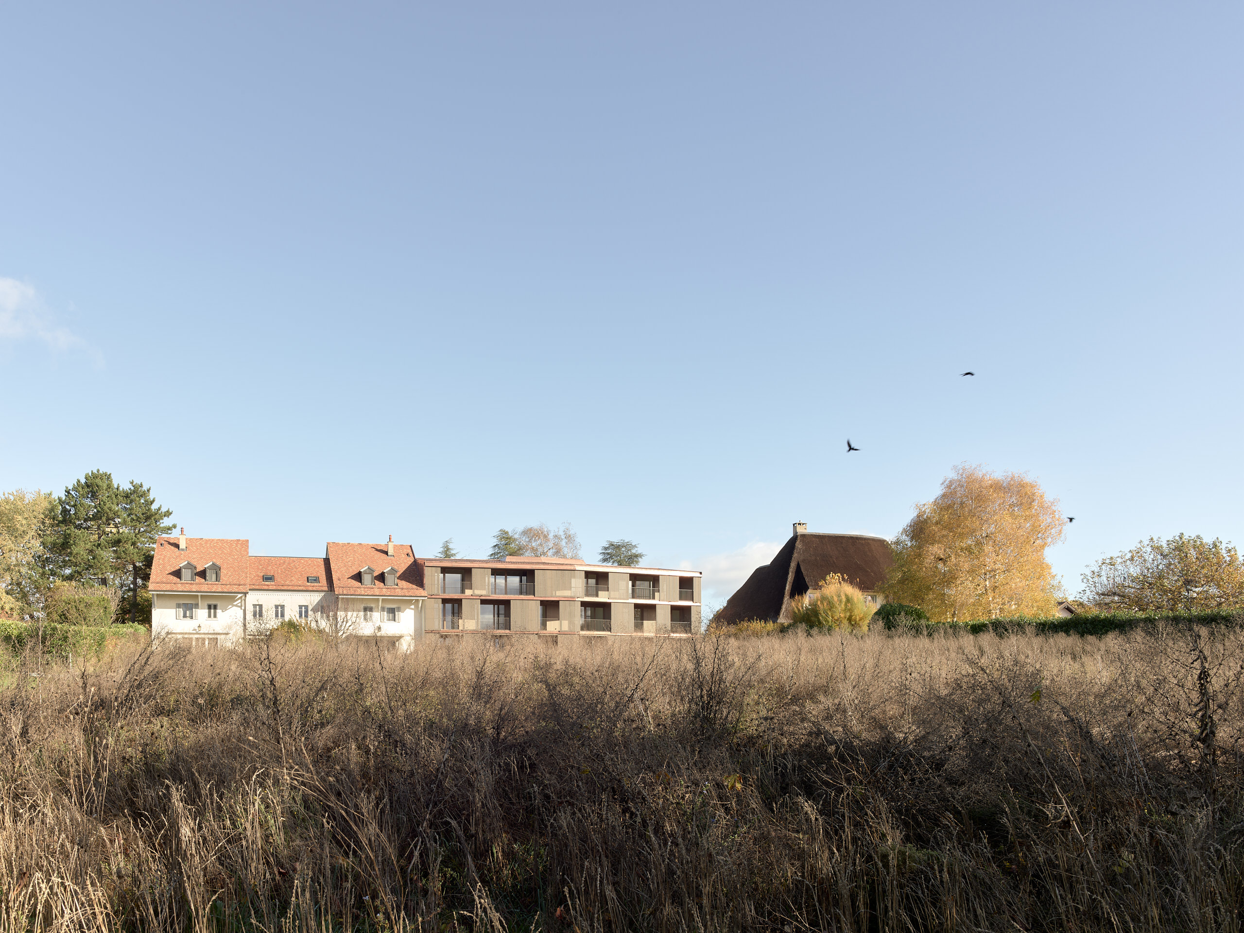 Immeuble à Lullier GE